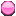 B_POLL_NN